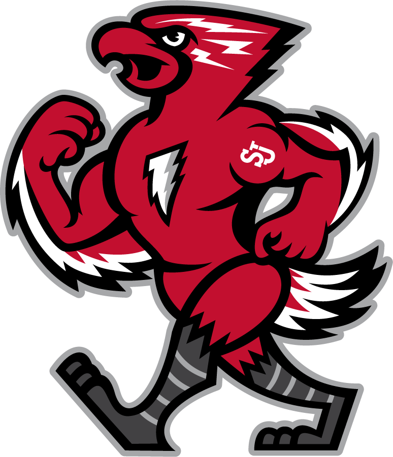 St. John's Red Storm 2015-Pres Mascot Logo iron on transfers for clothing